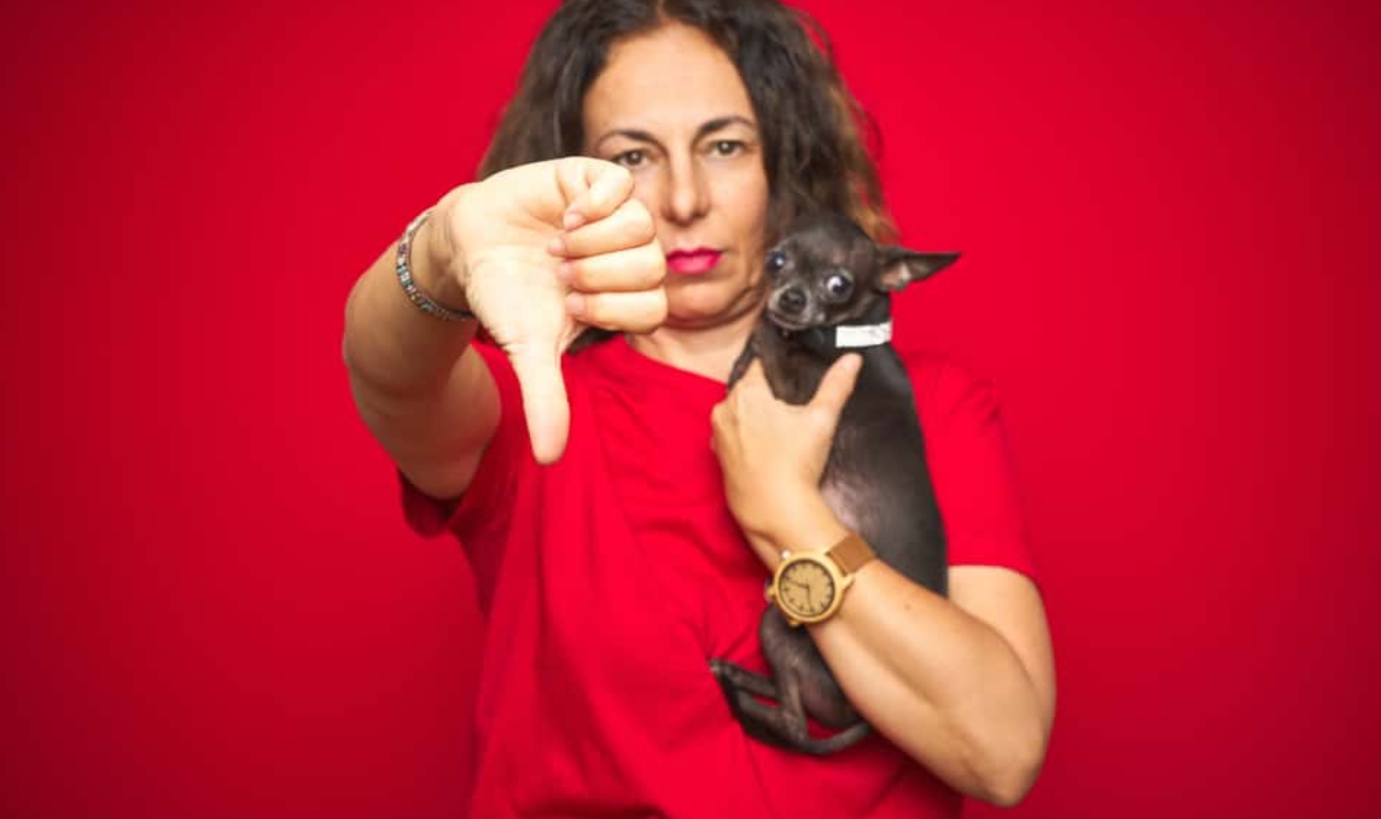 Middle Age Senior Woman Holding Cute Dog, Shutterstock, 1527519482