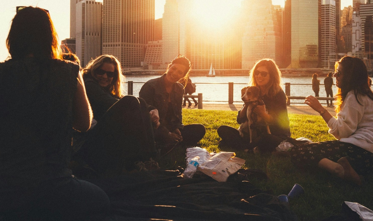 People Sitting On Grass Field