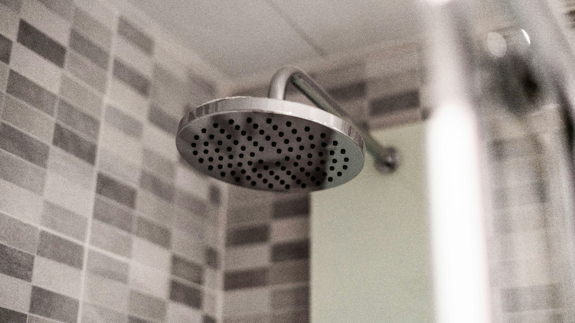 grey stainless steel shower head