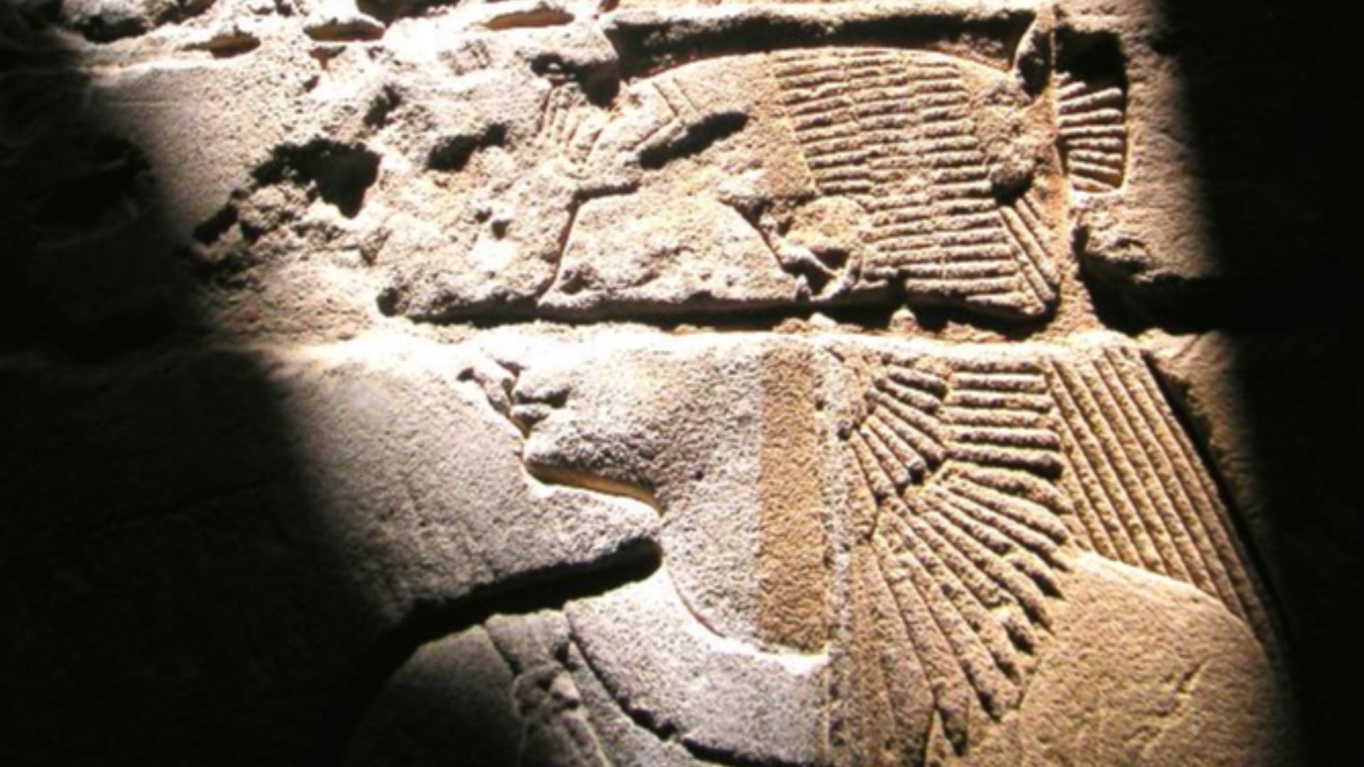 File:Ch Am I Med Habou 082005.jpg