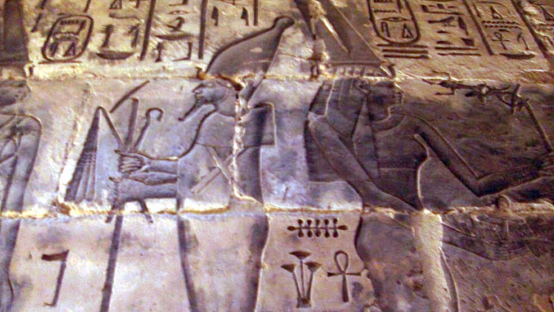 File:Chap Am I Med Habou 082005.jpg