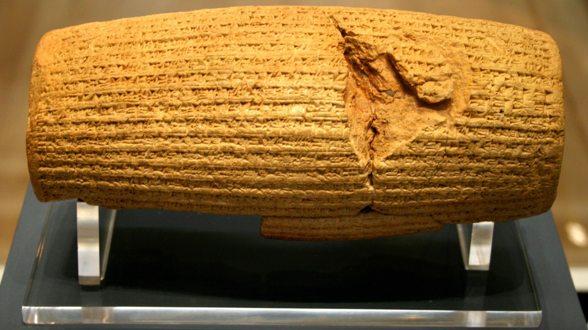 File:Cyrus Cylinder.jpg