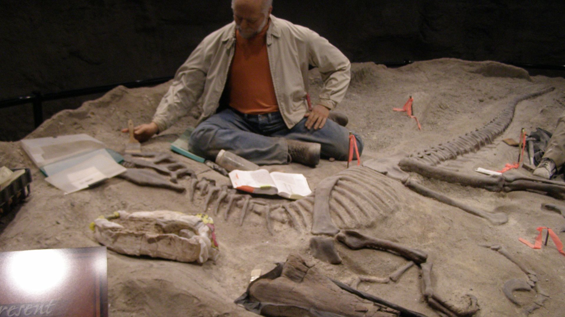 File:Archeologist P4280244.jpg