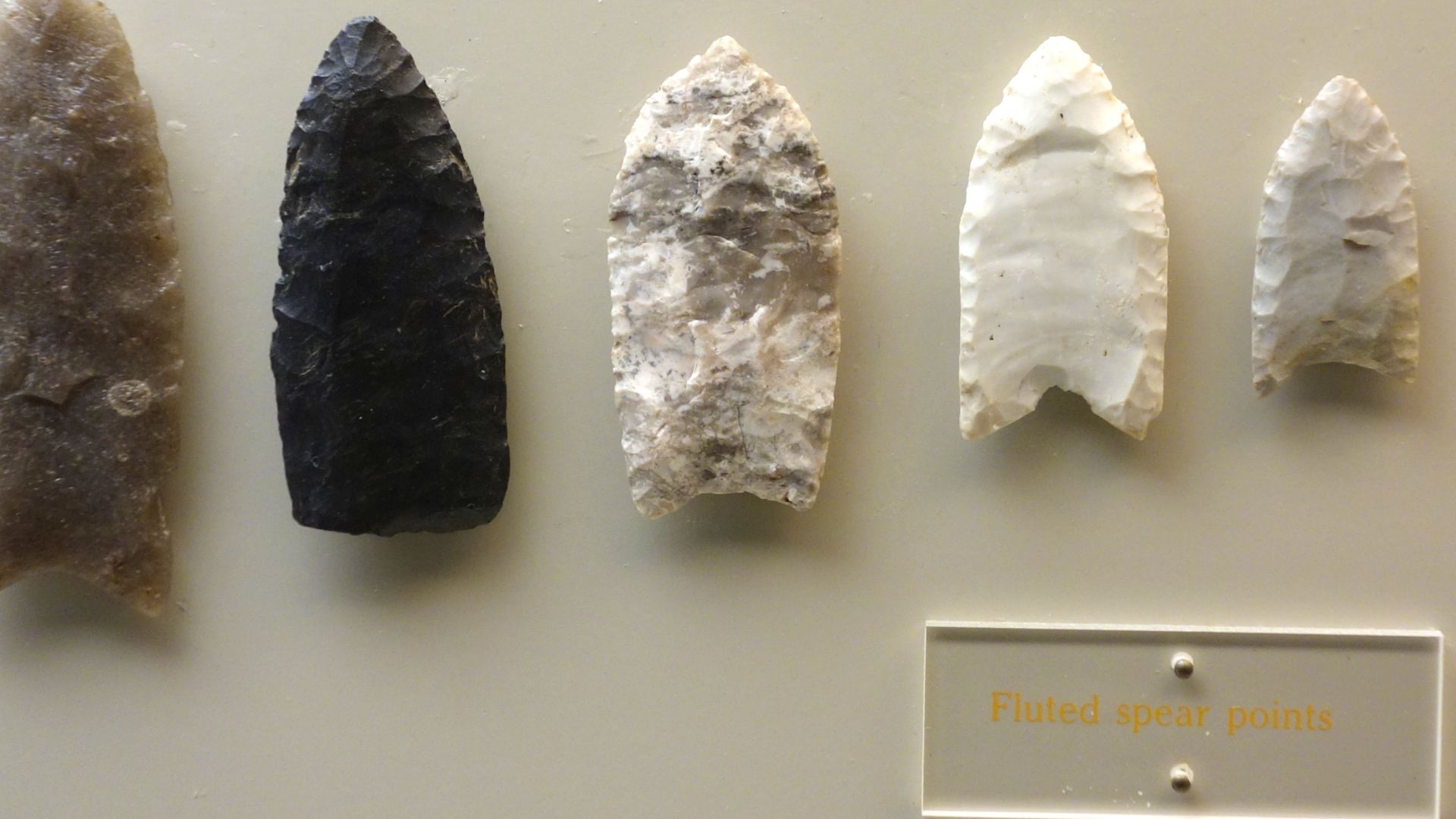 File:Spear tips (fluted), Late Paleo Early Archaic Indians, 8000-6000 BC, stone - Wisconsin Historical Museum - DSC03426.JPG