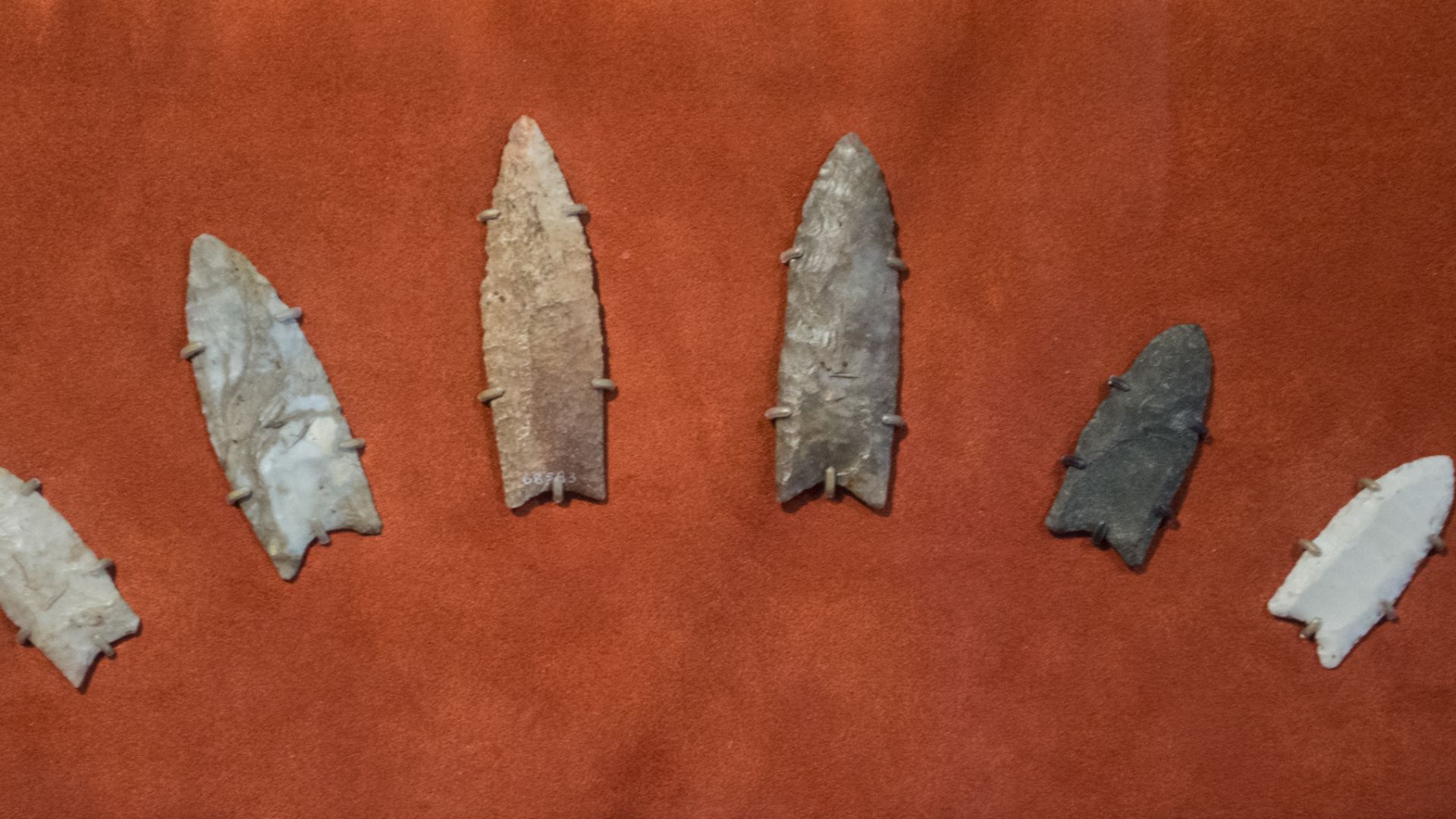 File:Clovis spearpoints - Cleveland Museum of Natural History.jpg