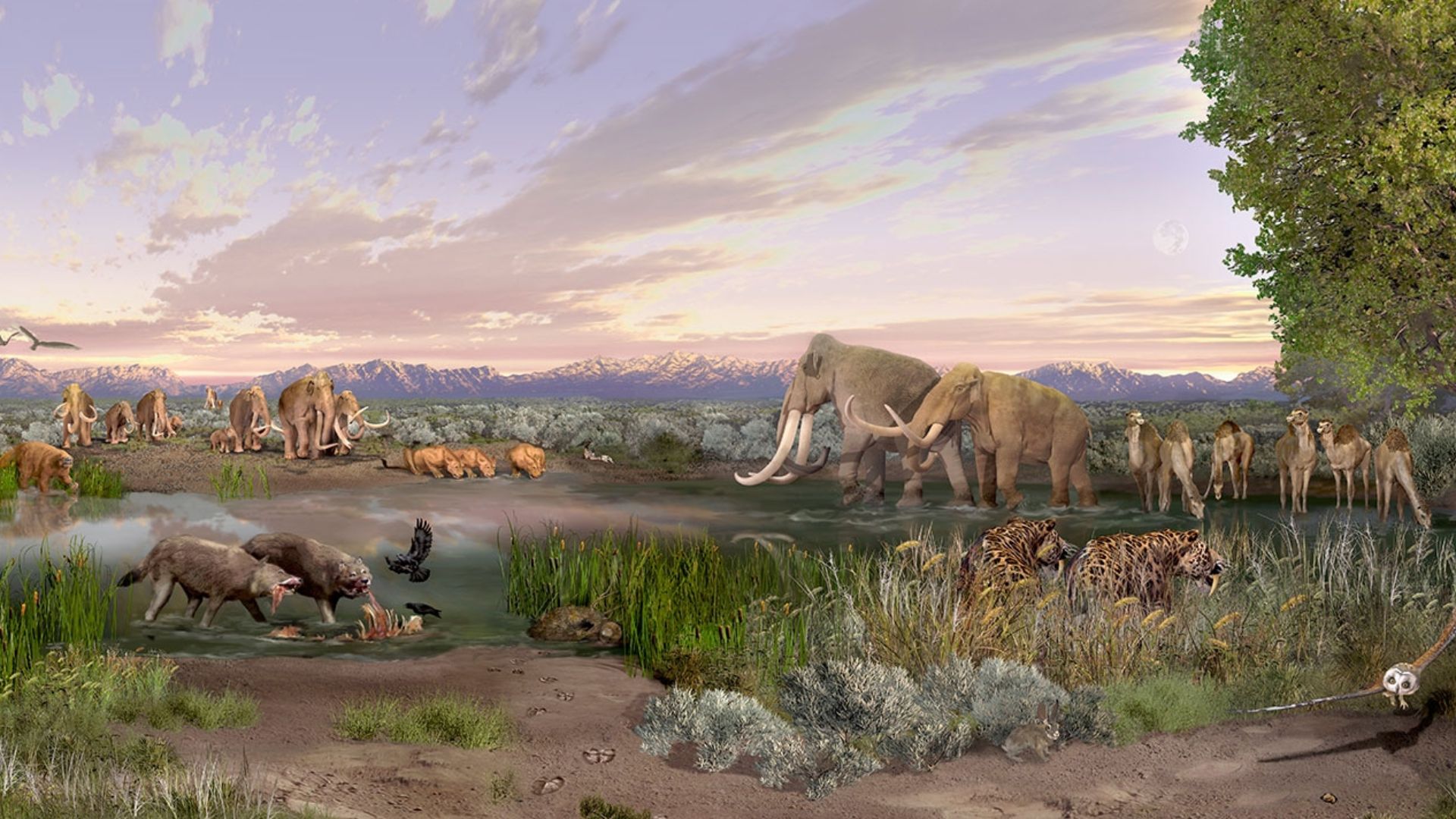 File:Paleontological landscape painting, White Sands National Park, United States.jpg