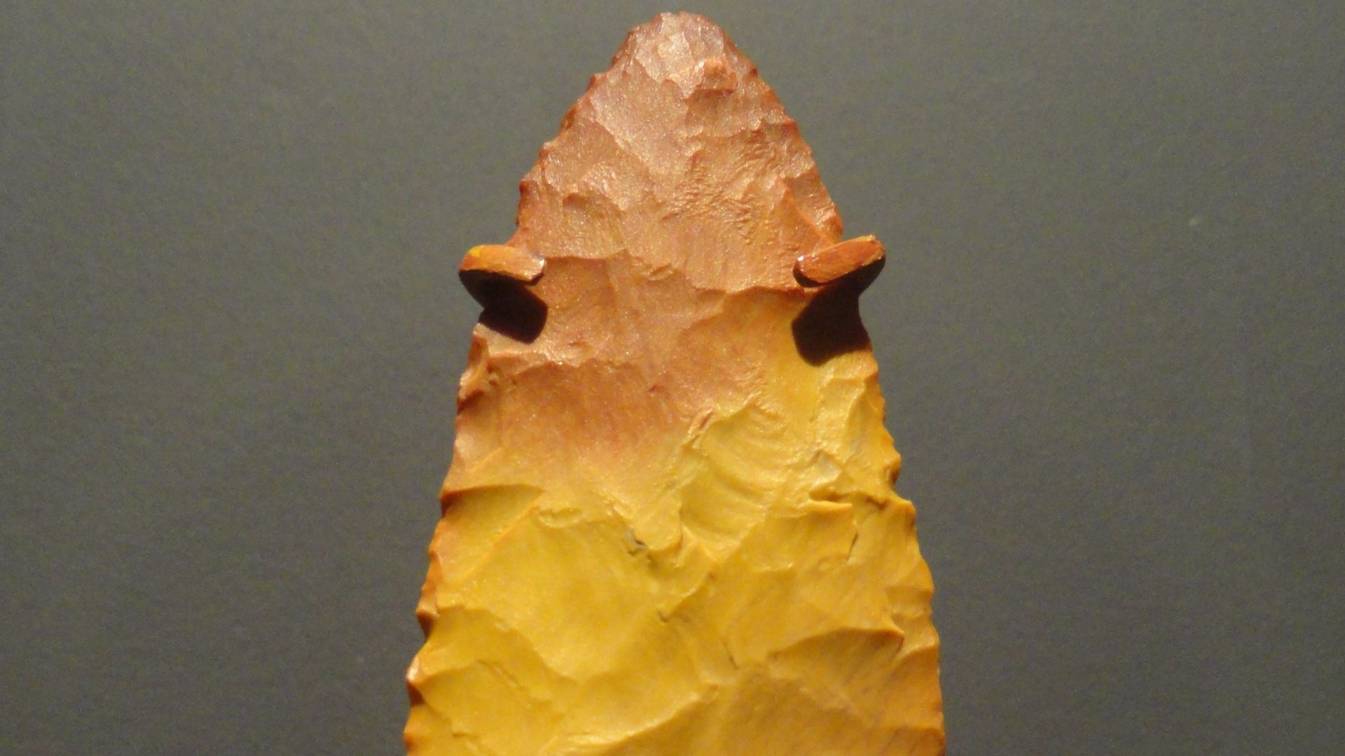 File:Clovis point, 11500-9000 BC, Sevier County, Utah, chert - Natural History Museum of Utah - DSC07376.JPG