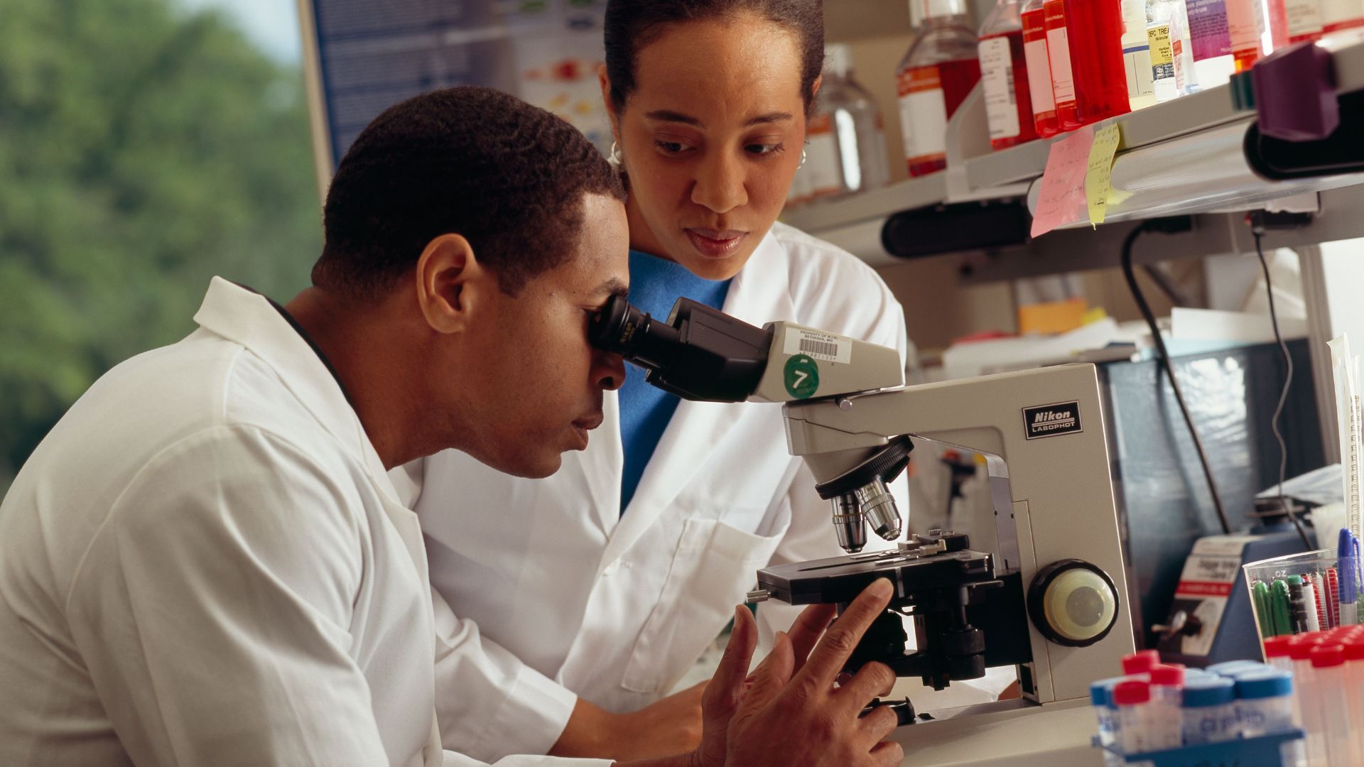 File:Researcher looking through microscope.jpg