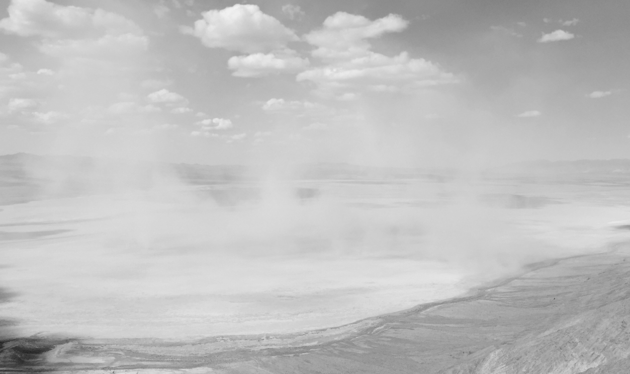 Dust Veil Albedo Increase