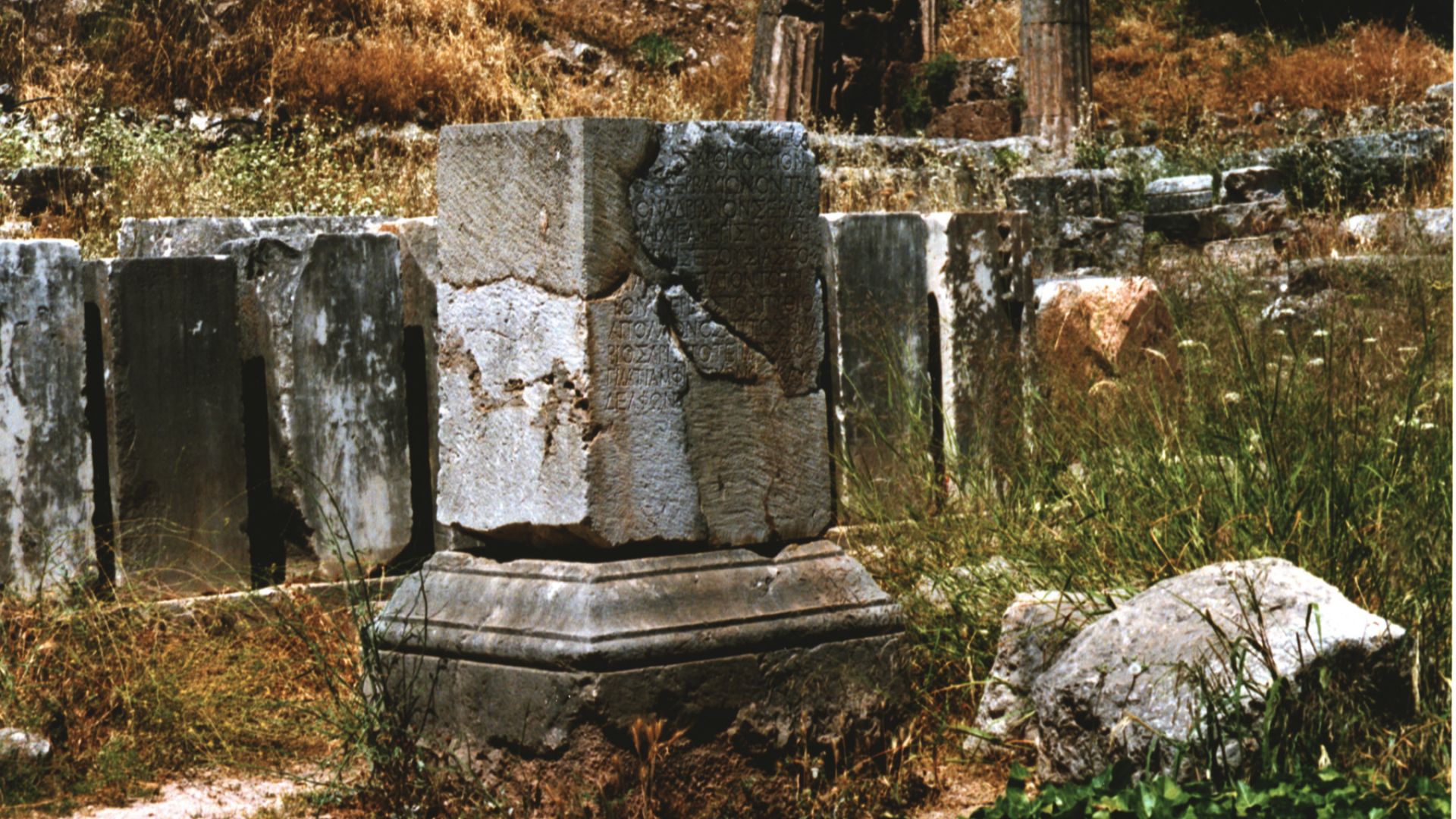 File:Delphi (X) (4910970878).jpg