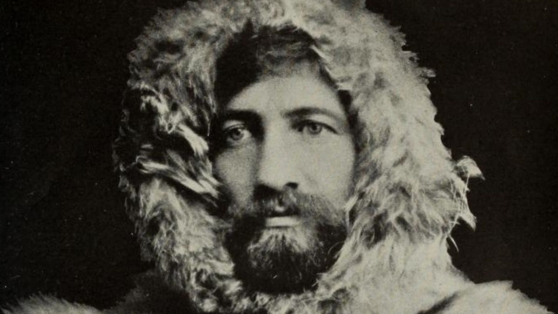 File:Picture of Frederick Cook.jpg