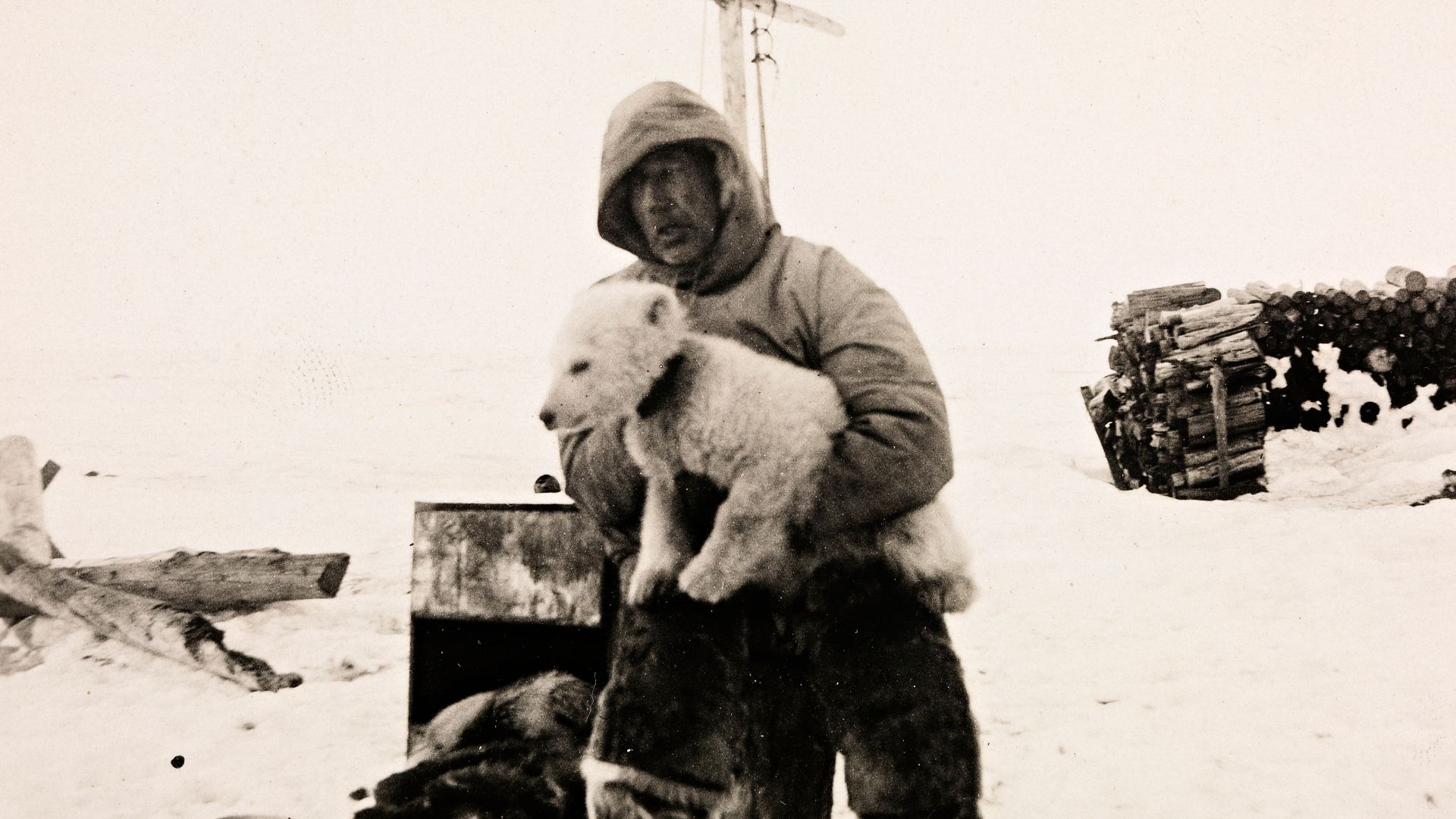 File:Roald Amundsen med isbjørnungen