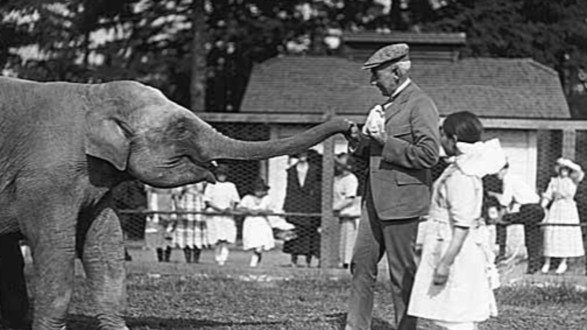 File:Roald Amundsen and Chukchi girls with elephant at Woodland Park, Seattle, 1921 (MOHAI 1111).jpg