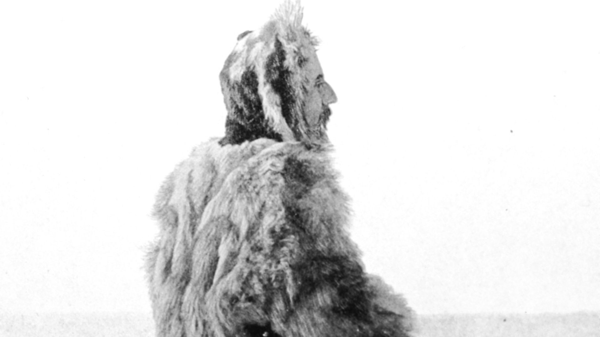 File:Amundsen-in-ice.jpg