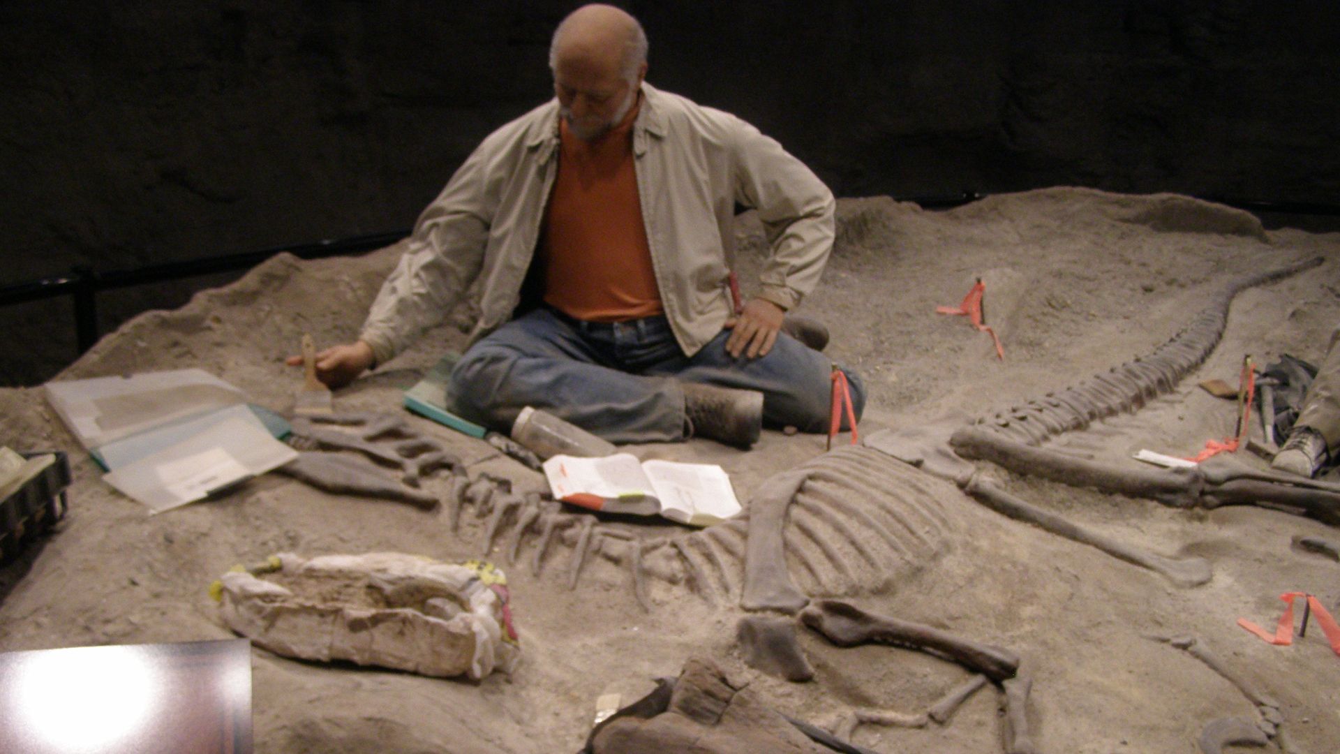 File:Archeologist P4280244.jpg