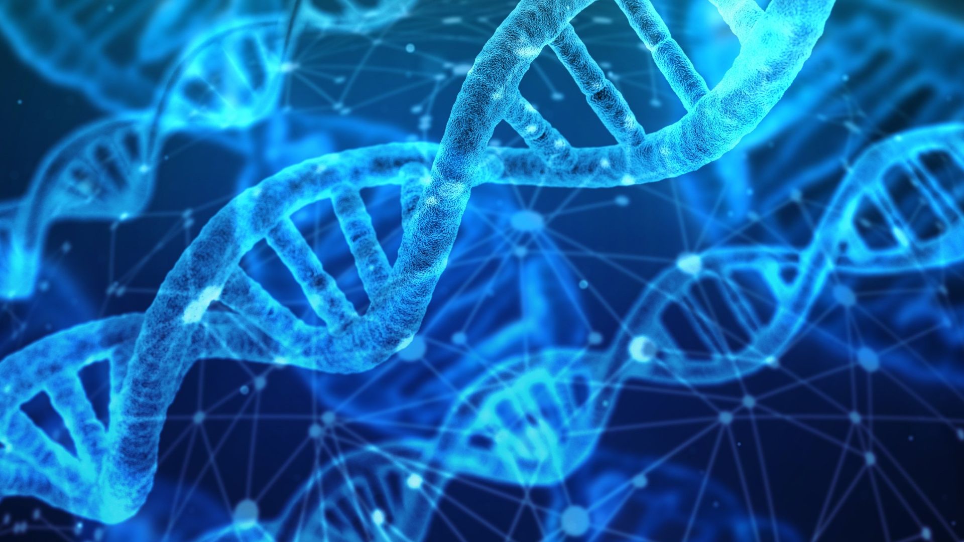 File:DNA strands.jpg