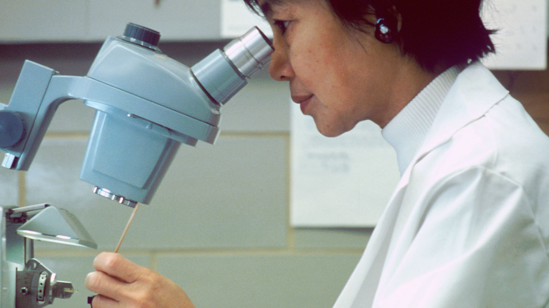 File:Scientist looking thorugh microscope.jpg