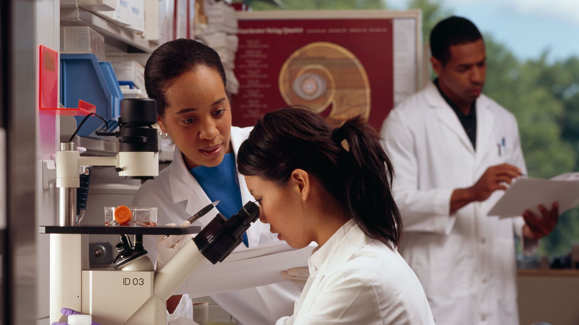 File:Researchers in laboratory.jpg