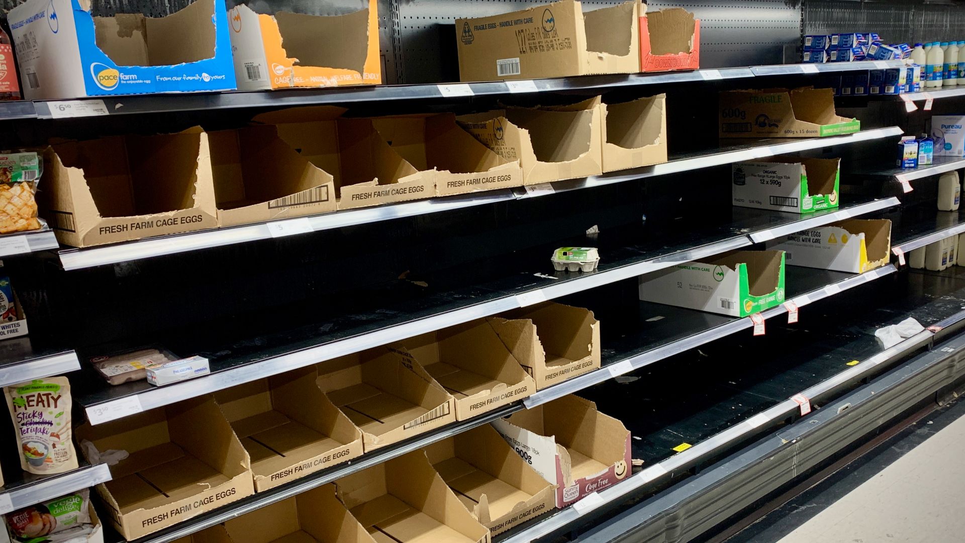 File:Empty Egg Aisle (49633155111).jpg