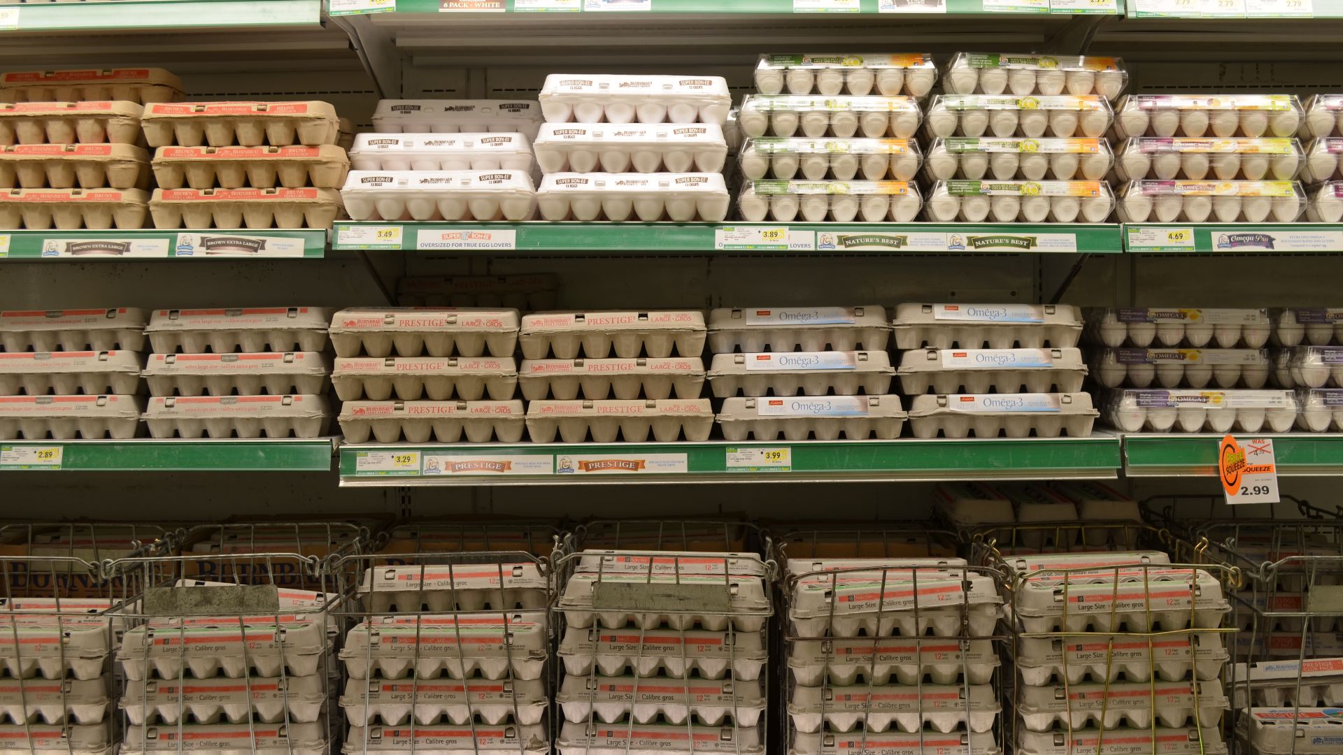 File:GroceryStoreEggs.JPG