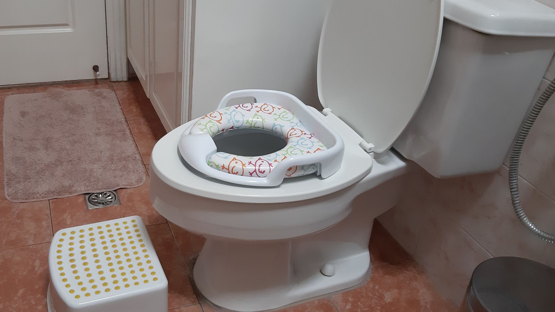 File:Potty training accesories (cropped).jpg