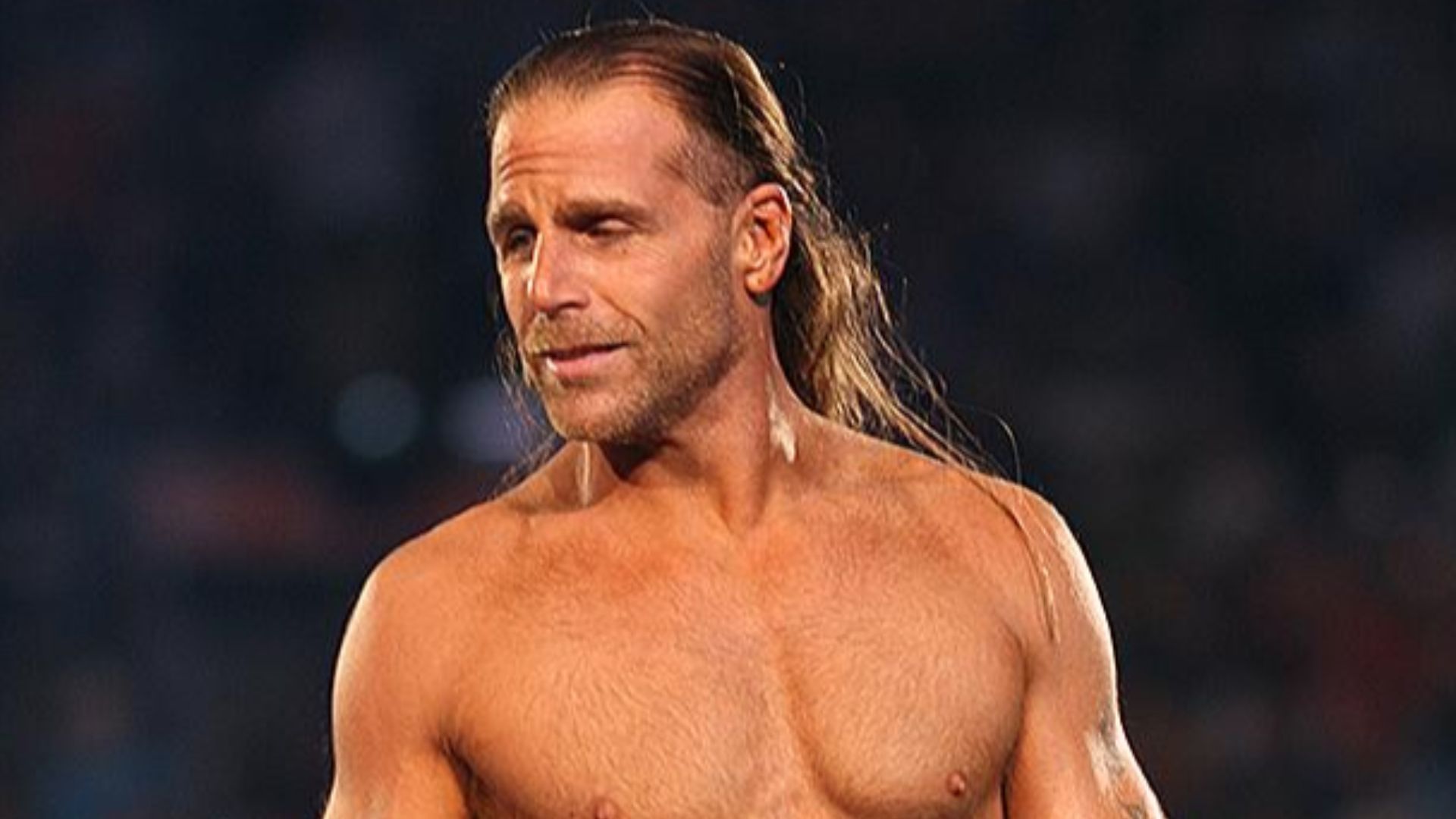 File:Shawn Michaels at WrestleMania XXIV.jpg