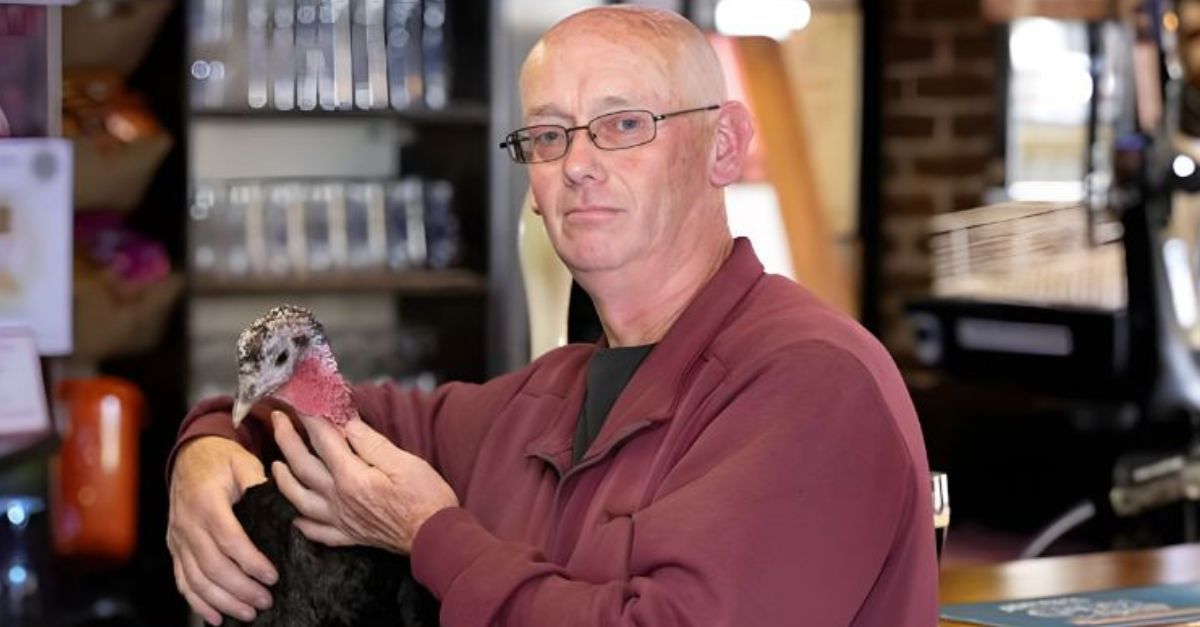 Dave Brooker in the pub and with his pet turkey
