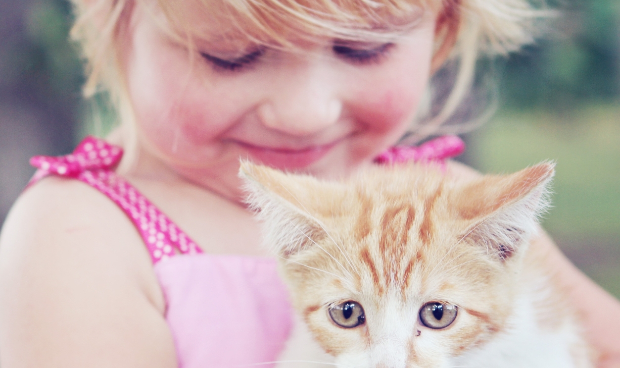 Girl Kitten Pet Animal Child