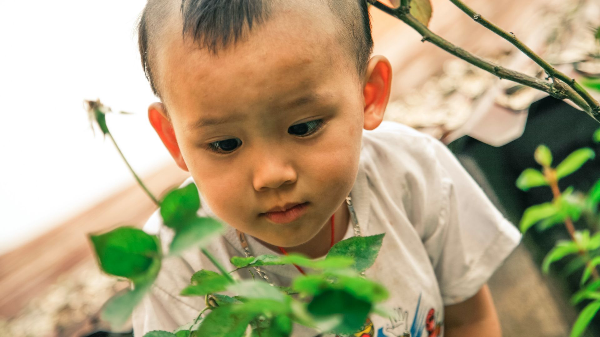 baby in white crew-neck T-shirt