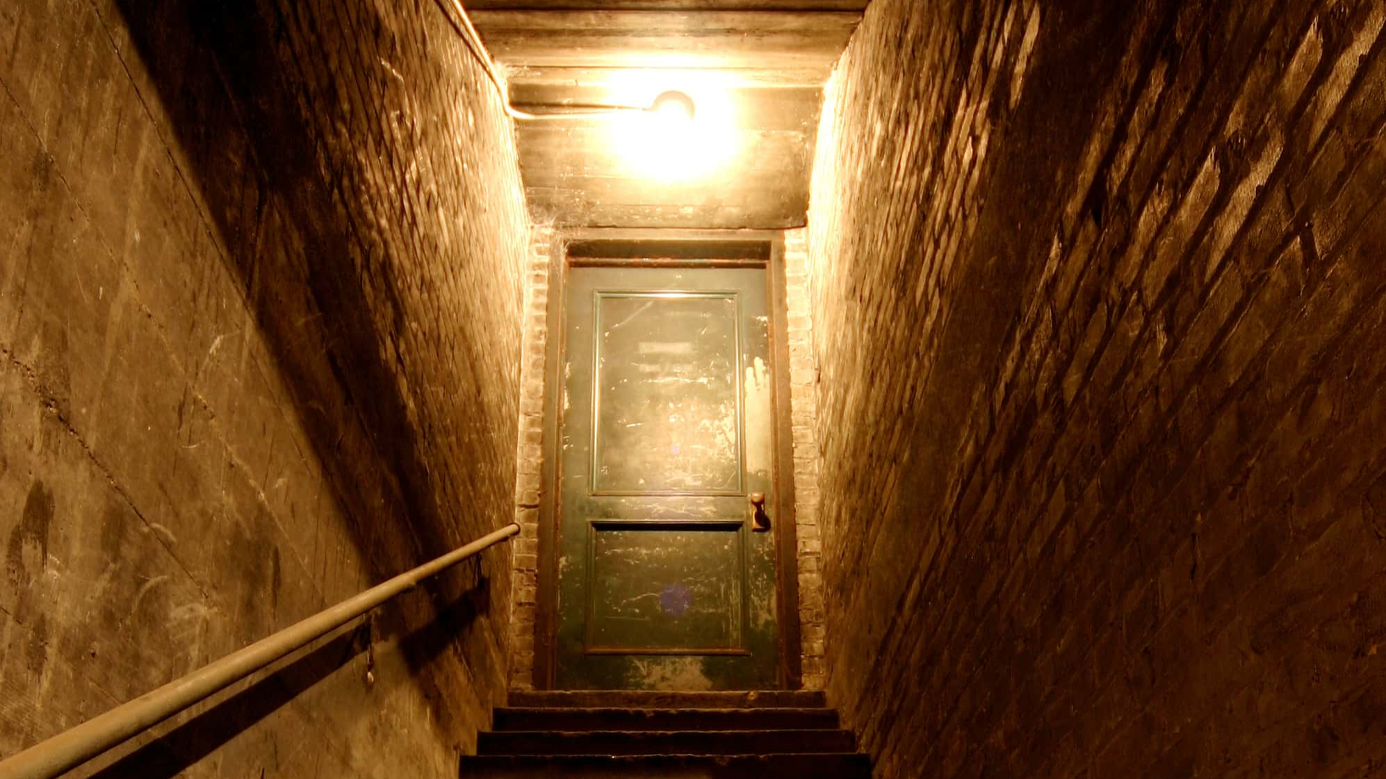 Creepy Things in Basements facts