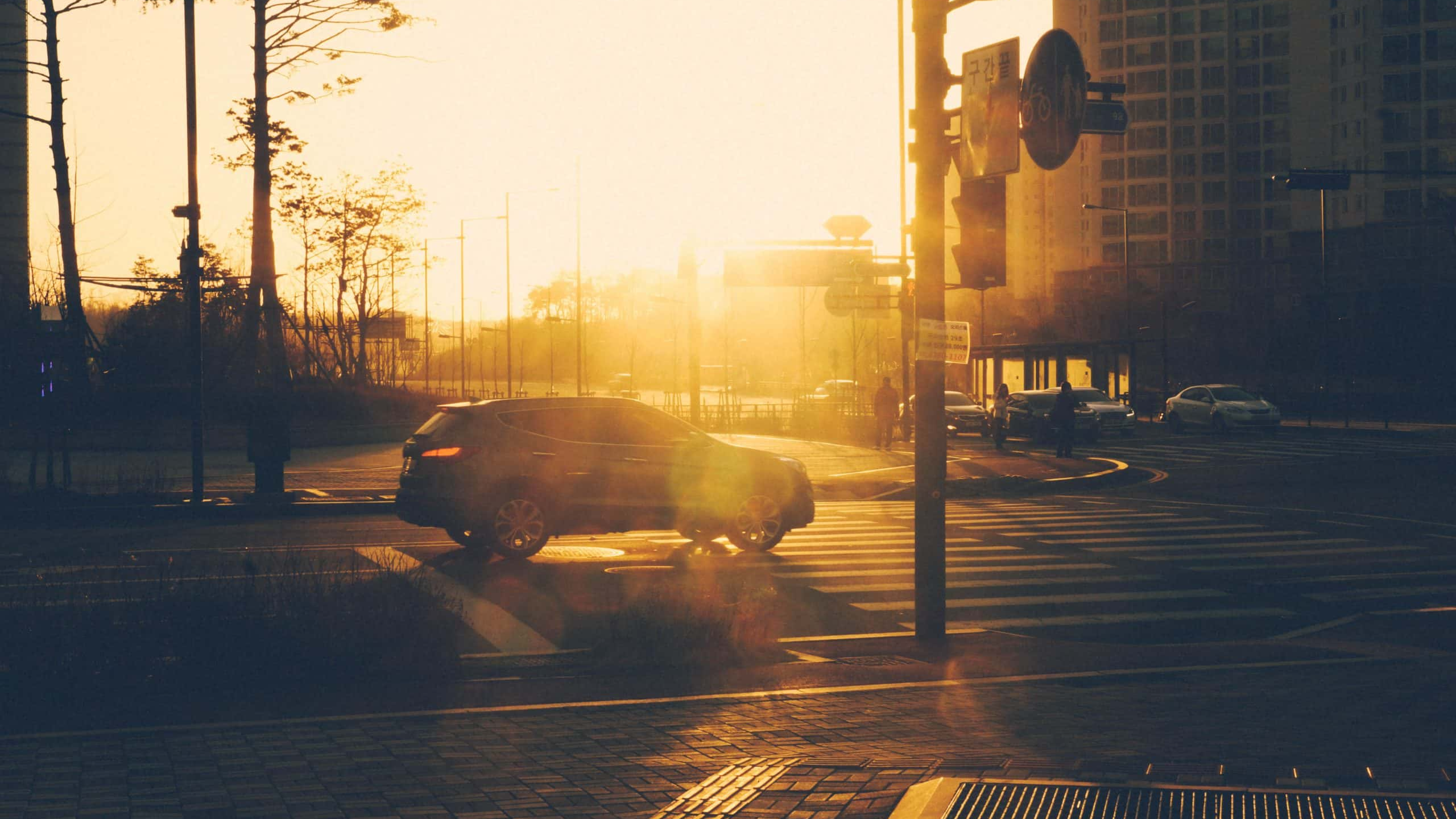 Glitch In The Matrix Facts