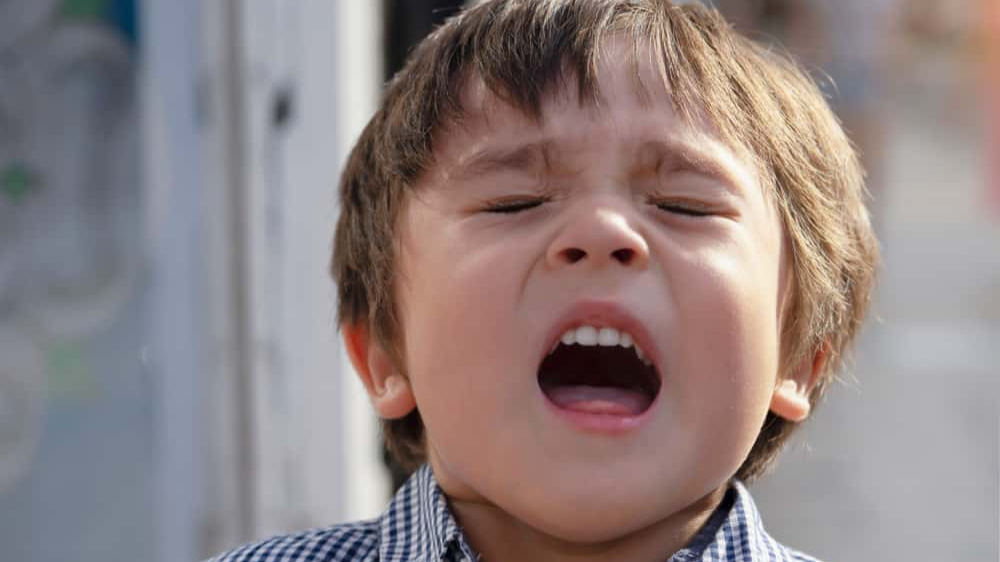 Buffet Workers Horror Stories Facts