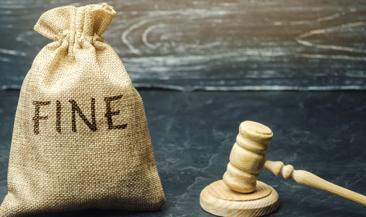 Money bag, Shutterstock, 1313185946