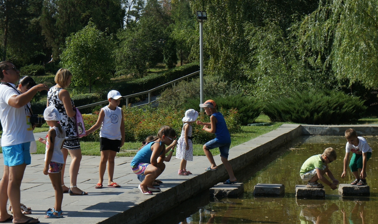 Games Kids People Lake Jumping