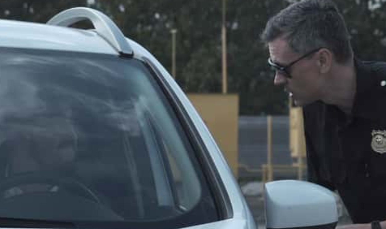 Police Officer Stopping The Driver Of A Vehicle, Shutterstock, 738123226