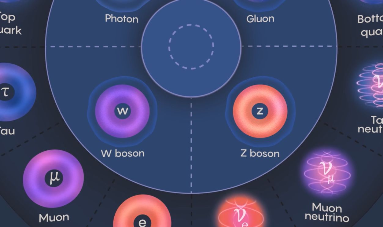  W & Z Boson