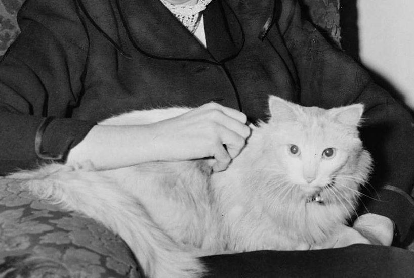 Elizabeth Bentley, American former spy for the Soviet Union