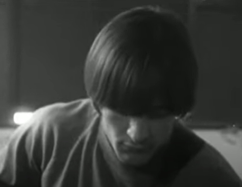 A visually captivating still taken from a pivotal moment in the Concert by The Byrds 1966