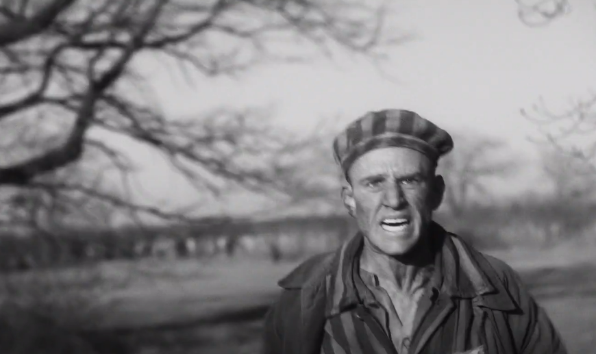 Screenshot of Survivor (2021)