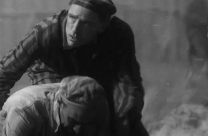 Screenshot of Survivor (2021)