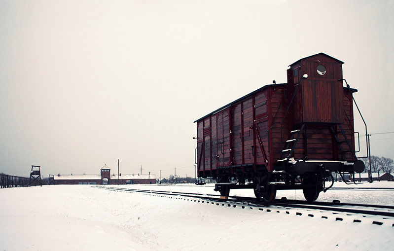 Freight Car, Auschwitz Ii-Birkenau, 2014