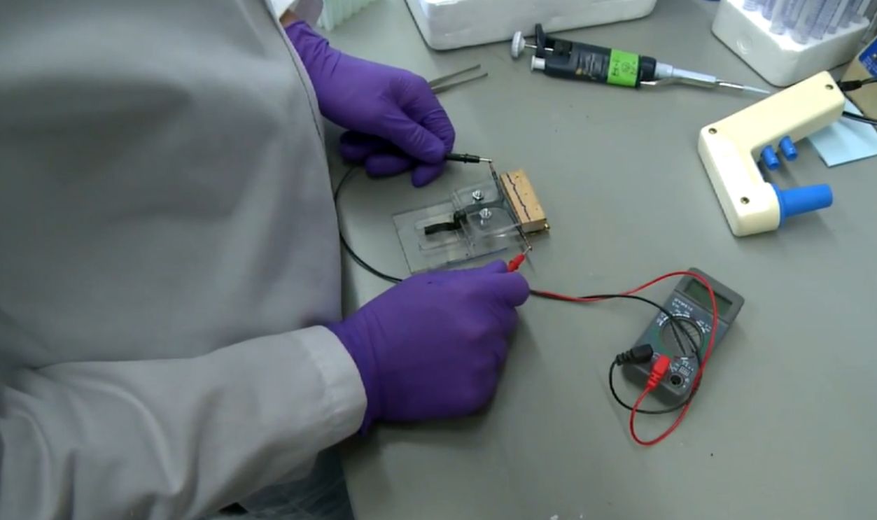 Three Cent Pancreatic Cancer Test