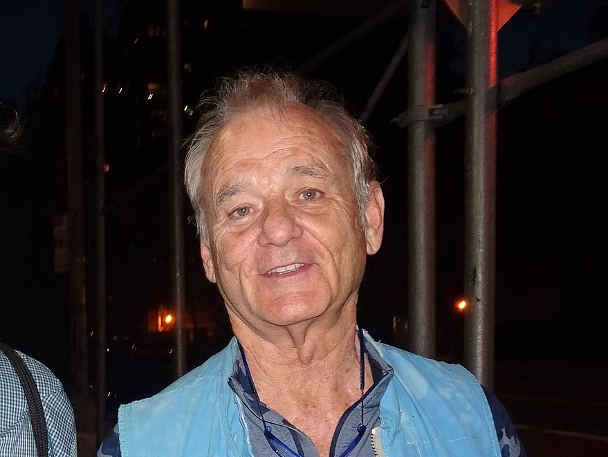 Bill Murray wearing a blue vest