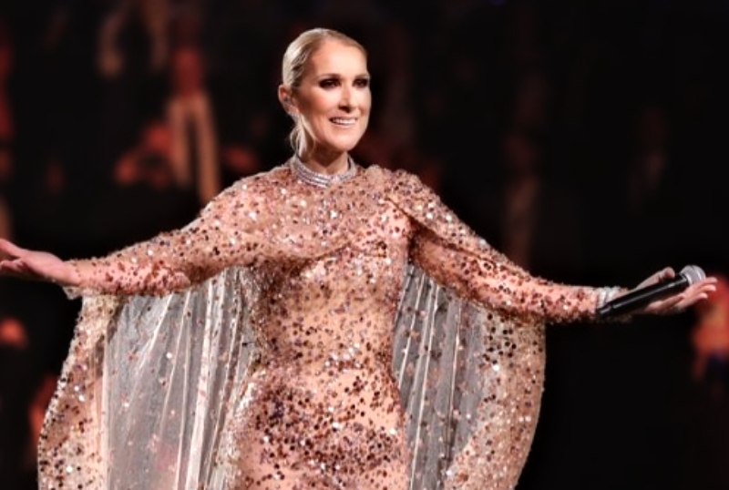 Celine Dion in 2024 at the Elie Saab fashion show