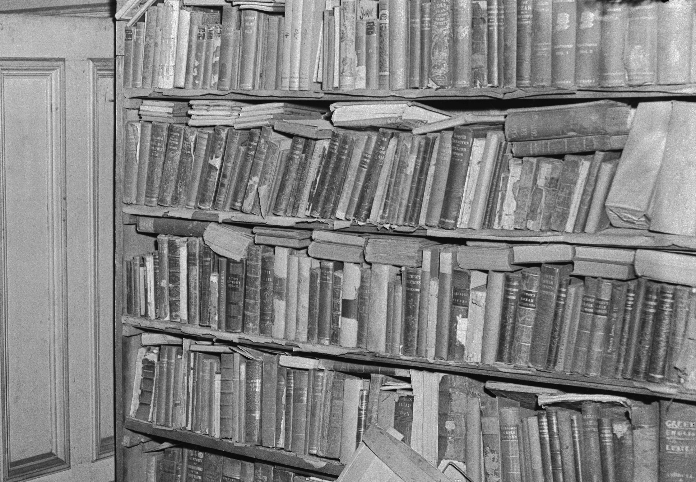 Interior View of a Room Full of Books and Cartons