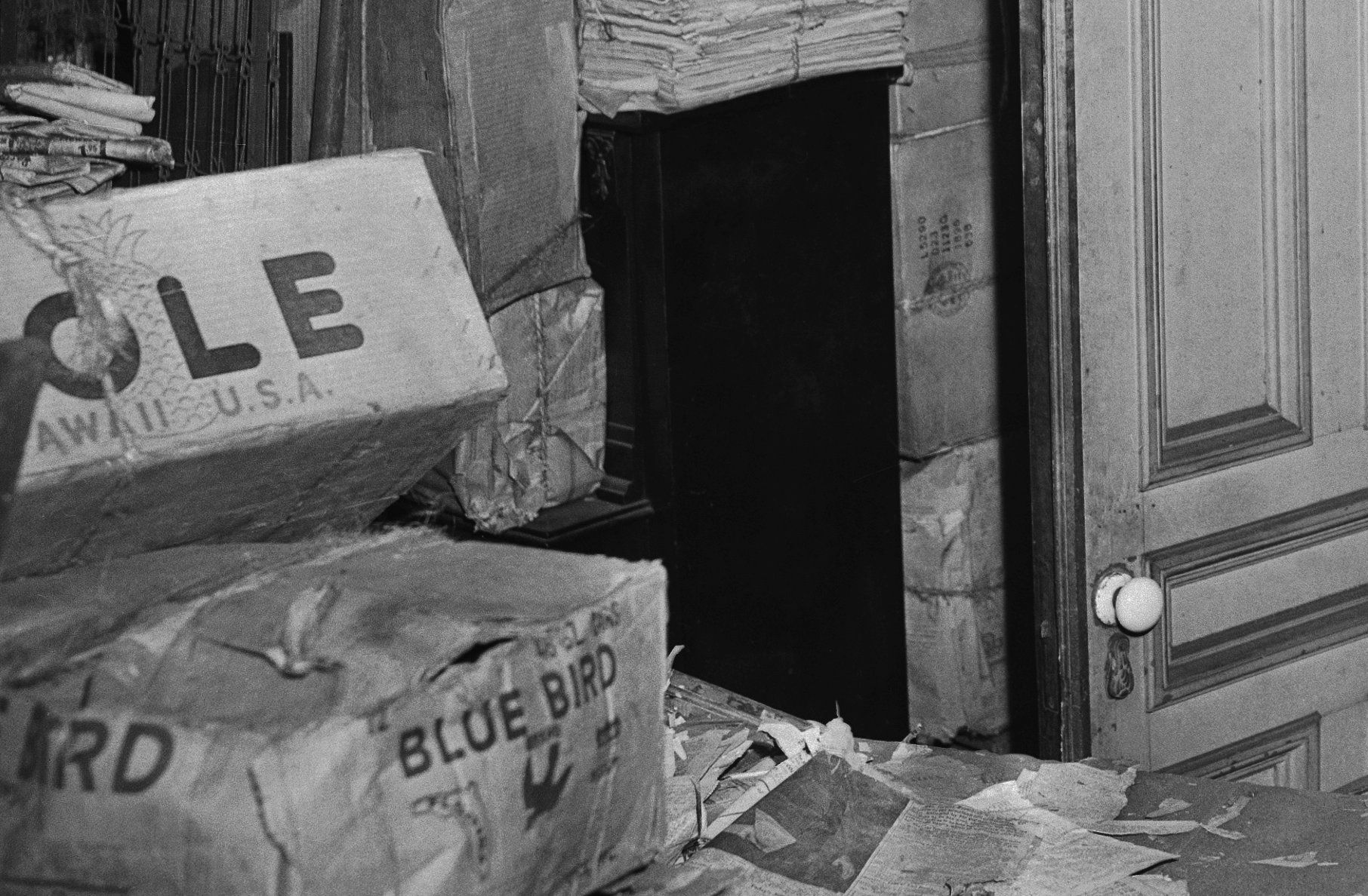 Interior View of a Room Full of Books and Cartons