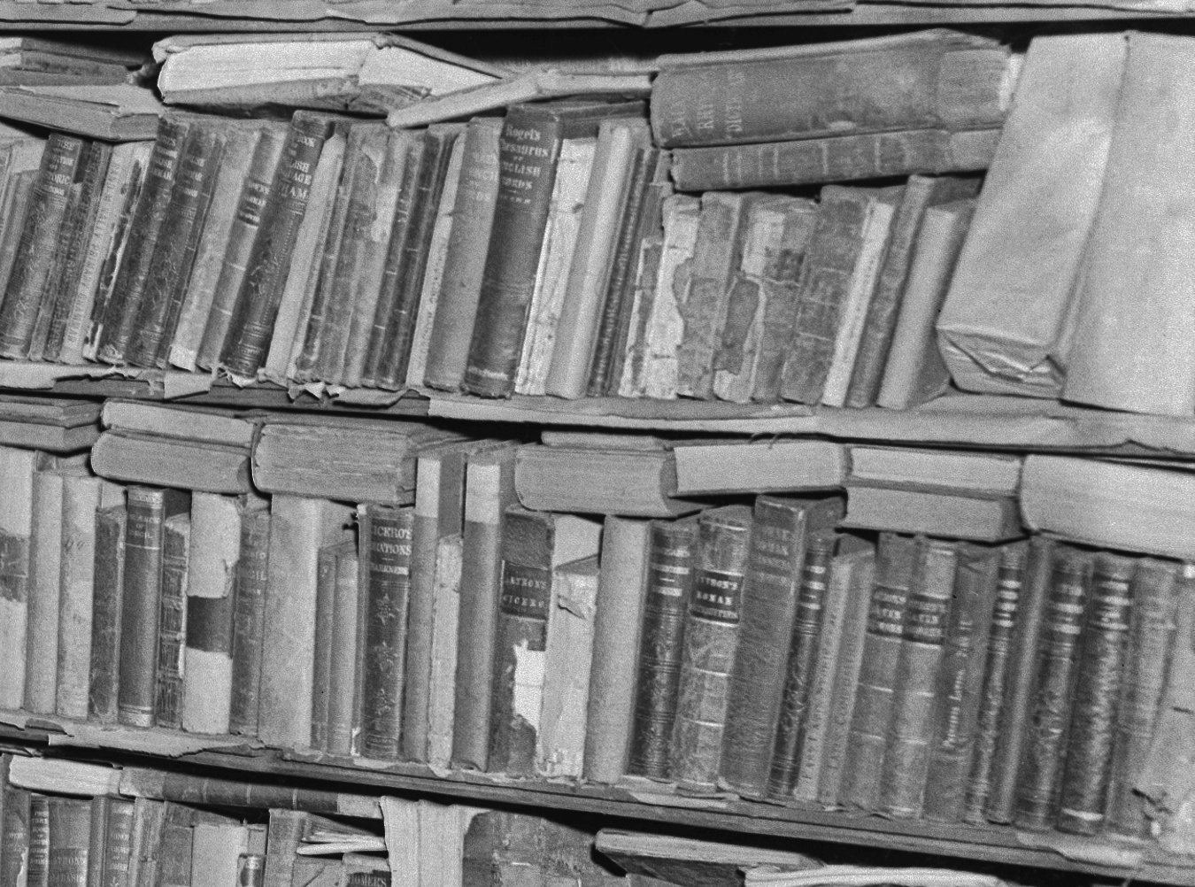 Interior View of a Room Full of Books and Cartons