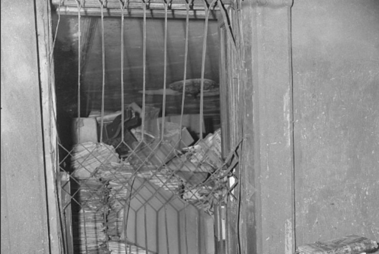 Langley and Homer Collyer, well known eccentric and reclusive brothers who resided in New York City in their Fifth Avenue mansion