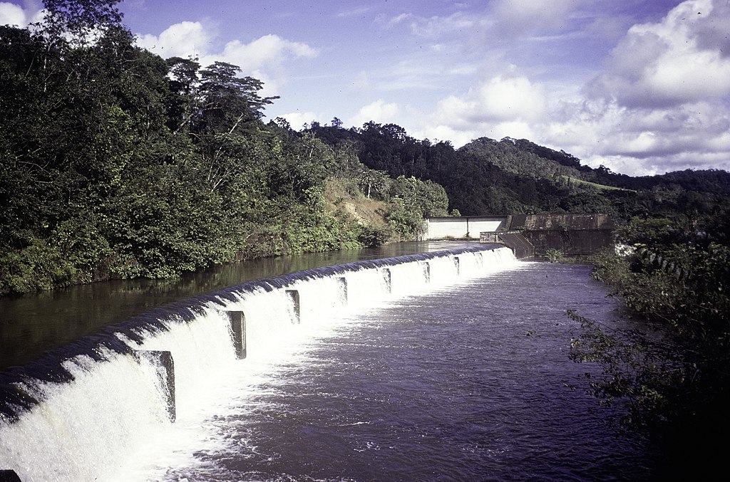 Photo of The Firestone Rubber Plantation in Liberia 1976