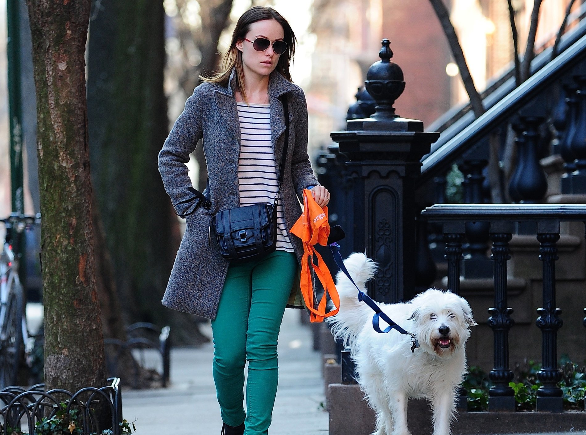 Olivia Wilde in the West Village walking her dog